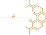 Spaces & Places Header Logo